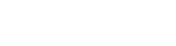 Borusan Ventures