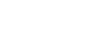 Kamion